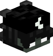 ruizok1