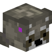 lord_raccoons