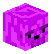 NCTY