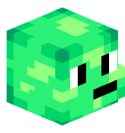 Tortuga27