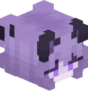 qokk