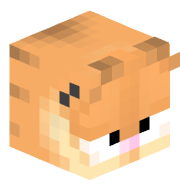 Feium