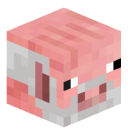 DMWmini