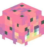 RainbowRacoon33