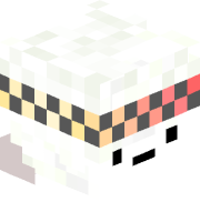 BJt4