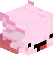 Man0e06