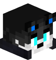 fonchipro007