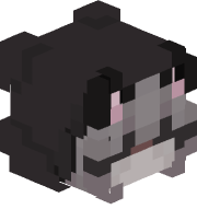 jonne06
