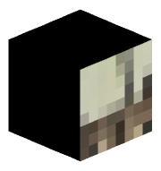 Rapidaaron123