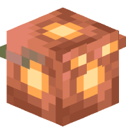 Jaymes_