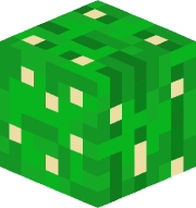 kaktus_guy