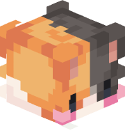 meowzyboi
