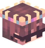 swimcade