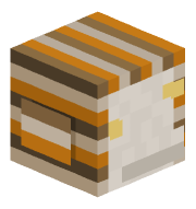 ElGarzaman12