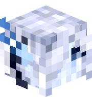 chase99999