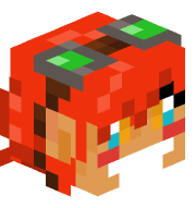the_skloin