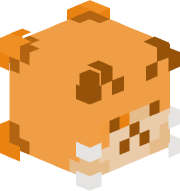 coconutcool