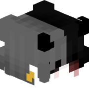 monti_uy