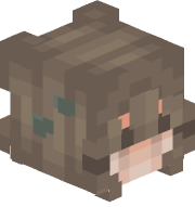 Donut_Phantasm