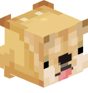 dogking1k