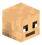 Wasicek_