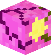 LCMChuchogm