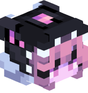 M1c00_