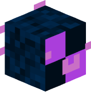 Linx_571