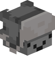 blackpowderr