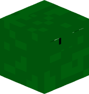 aricot_vert