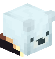 Polar359