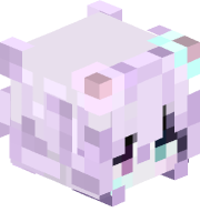 FurrXa