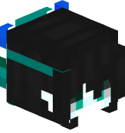 HERA11