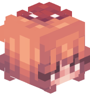 MizuMC