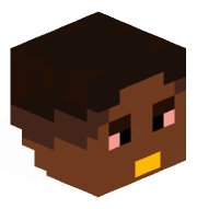 MSruinedJavaEdMC