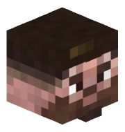 Archdoc9