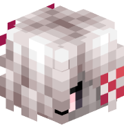 Tooma8