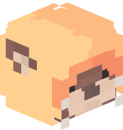 Montyyhz