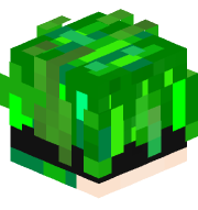 ToxicF1re_