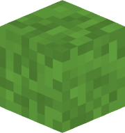 _2Dwasabi