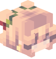 Madiiroo