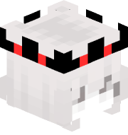 cashnetx