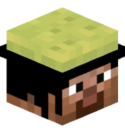 Chizzledude2000