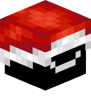 xarxito