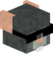 llitel