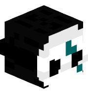 conxection