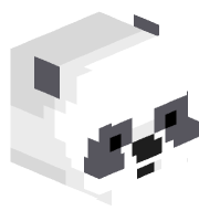 ILiamI