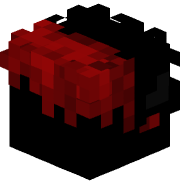 TWIXX3D