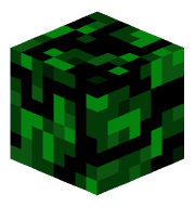 BigBoss24444444