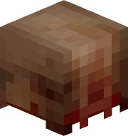 RT369